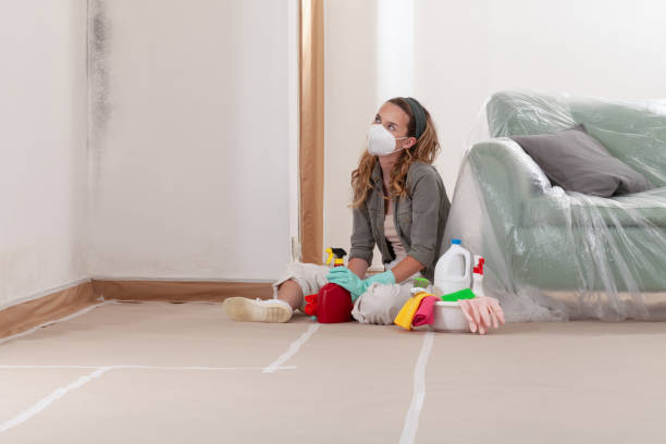 Reliable Basement Mold Remediation contractor in Easton, MD by Mold Remediation HQ